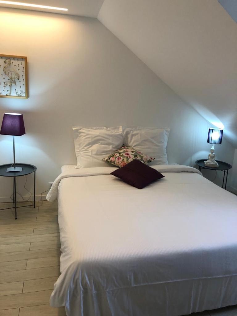 Appartement Deluxe Design - Center Cosy Colmar